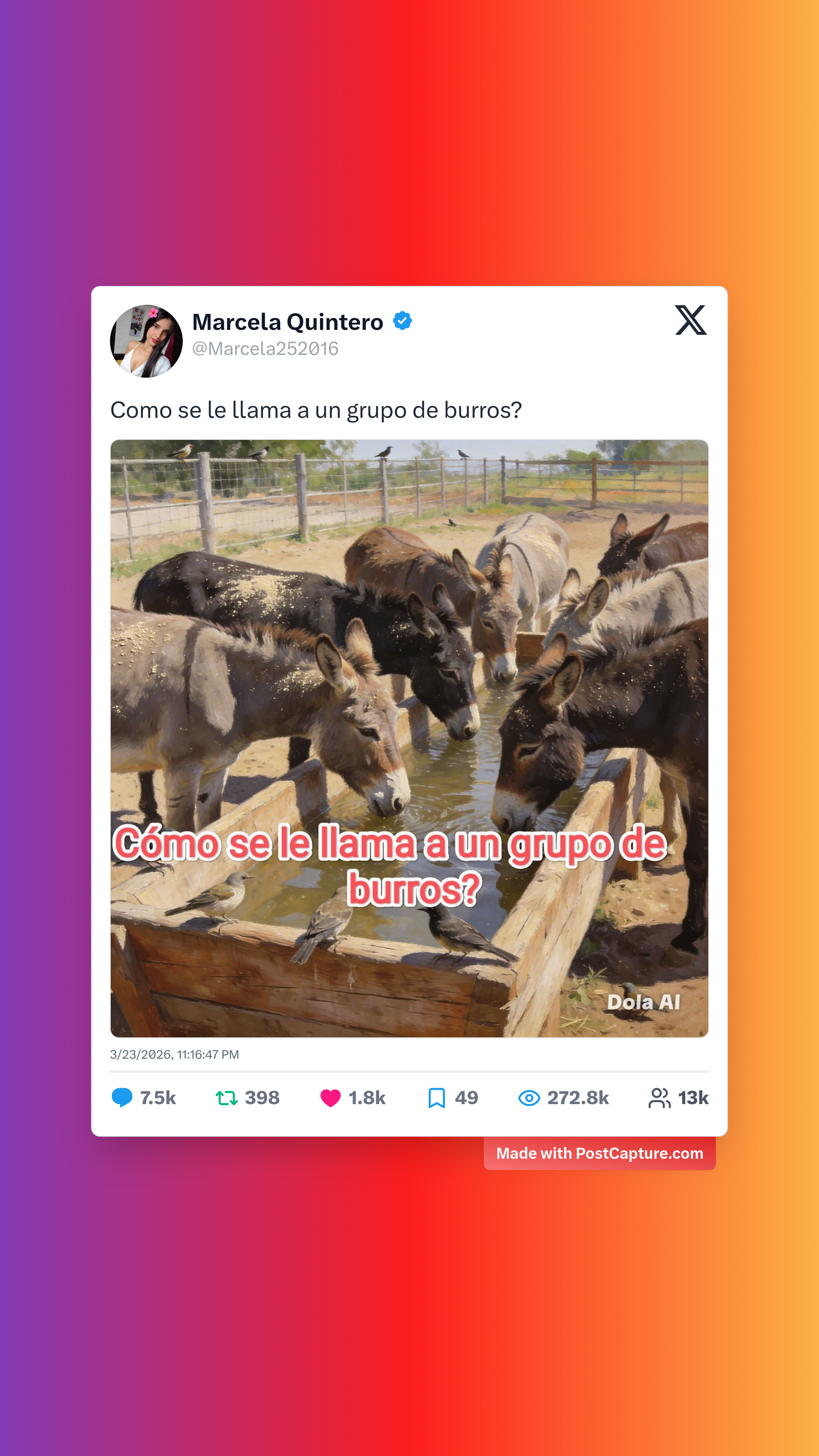 Rank 3 - @Marcela252016