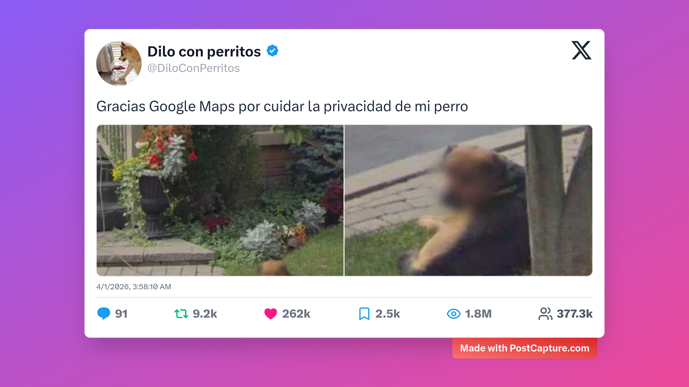 Rank 2 - @DiloConPerritos