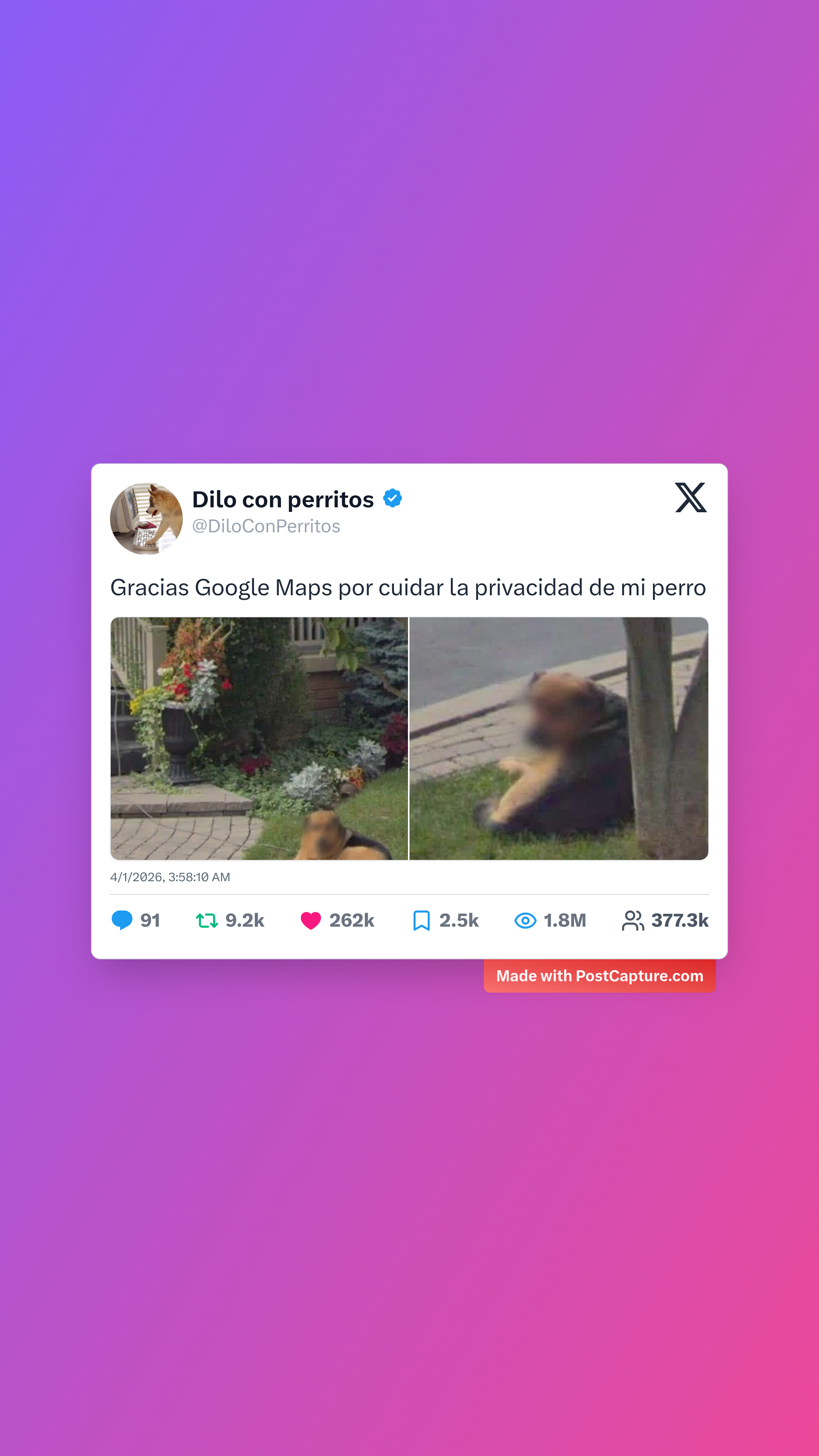 Rank 2 - @DiloConPerritos